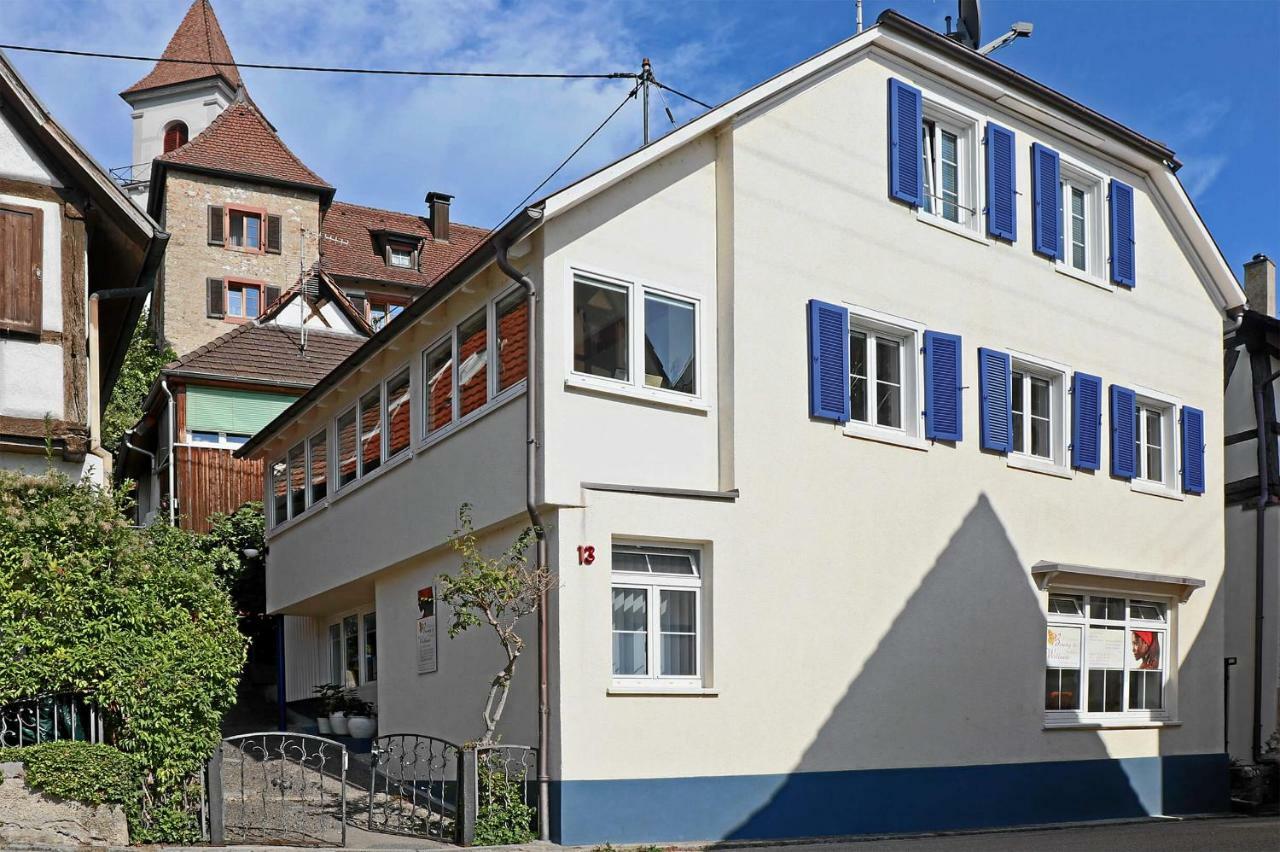 Mariposa Apartamento Efringen-Kirchen Dış mekan fotoğraf