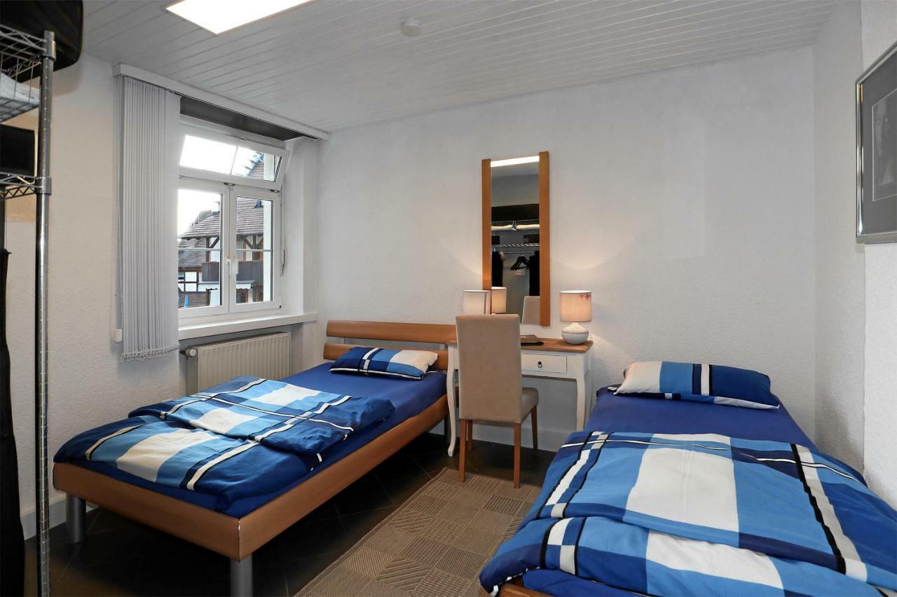 Mariposa Apartamento Efringen-Kirchen Dış mekan fotoğraf