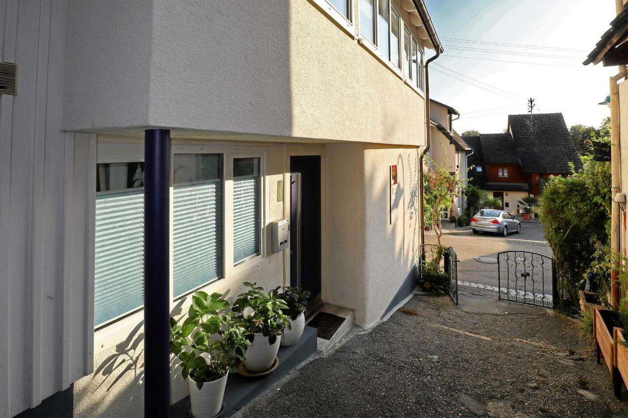 Mariposa Apartamento Efringen-Kirchen Dış mekan fotoğraf