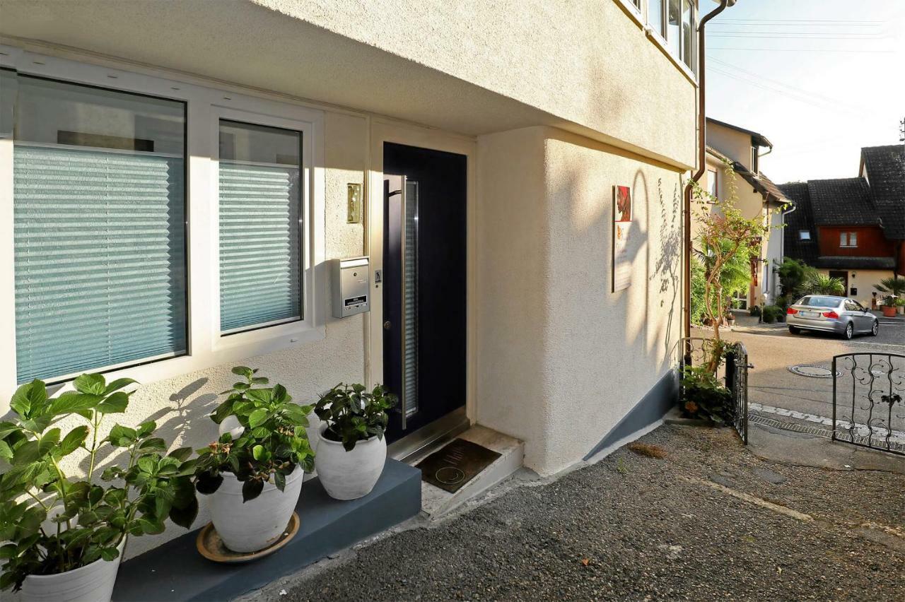 Mariposa Apartamento Efringen-Kirchen Dış mekan fotoğraf